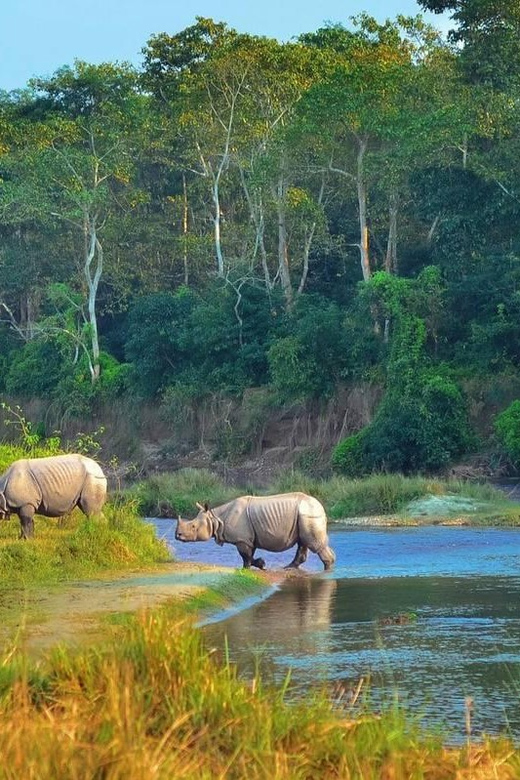 Kathmandu: 4-Day Private Chitwan National Park Safari Tour - Pricing and Value: What You’re Really Getting for $202