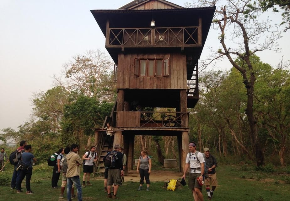 Kathmandu: 4-Day Private Chitwan National Park Safari Tour - Comfort, Guides, and the Little Things That Matter