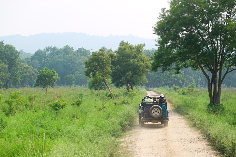 Kathmandu: 4-Day Private Chitwan National Park Safari Tour - What to Pack and How to Get the Most Out of Safari Time