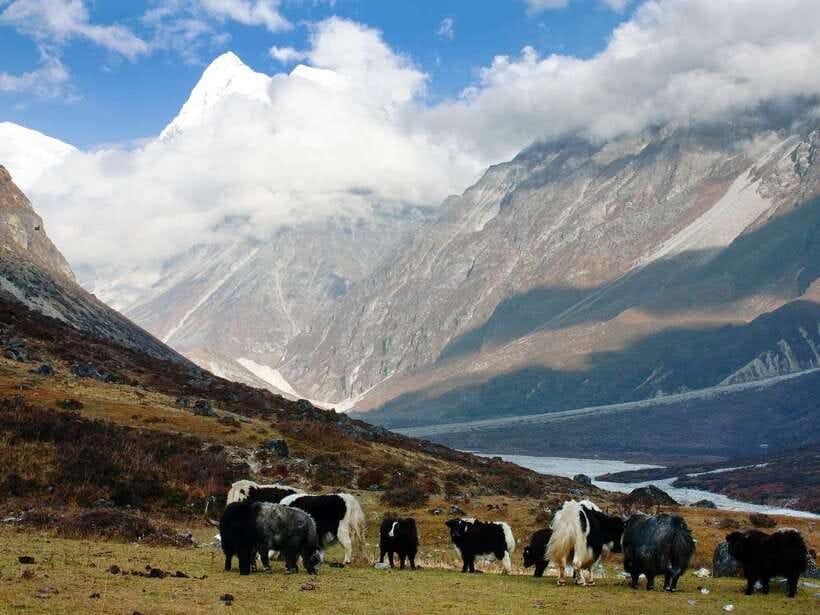 Kathmandu: 6 Days Langtang Valley Trek with Kyanjin Ri - The Kyanjin Ri sunrise climb: worth it, but plan it smart