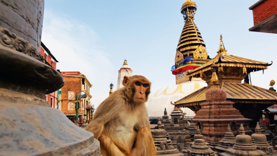 Kathmandu: Chandragiri cable car & Swayambhunath Tour - A 7-hour Kathmandu loop: cable car, Chandragiri temple, Monkey Temple