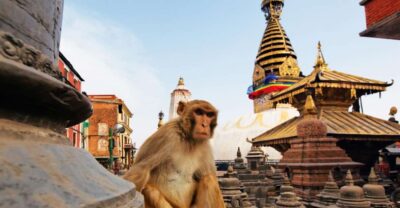 Kathmandu: Chandragiri cable car & Swayambhunath Tour - Getting to Chandragiri: timing, the cable car ride, and the view reality