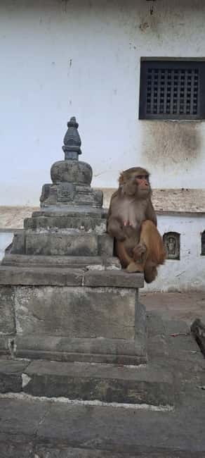 Kathmandu: Chandragiri cable car & Swayambhunath Tour - Who should book this tour (and who should consider other options)