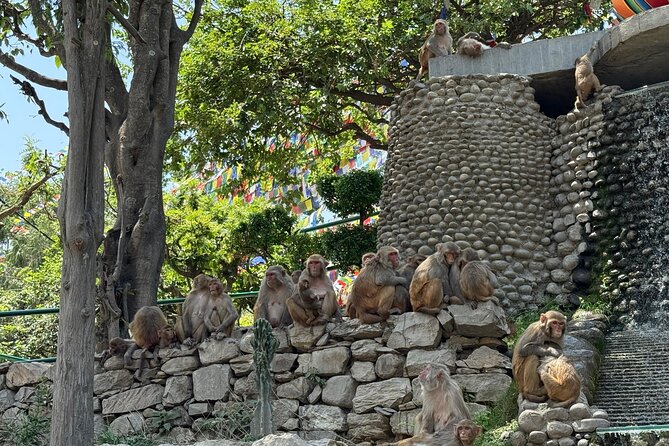 Kathmandu Full Day Tour - The seven stops: what you’ll see, and what to watch for at each
