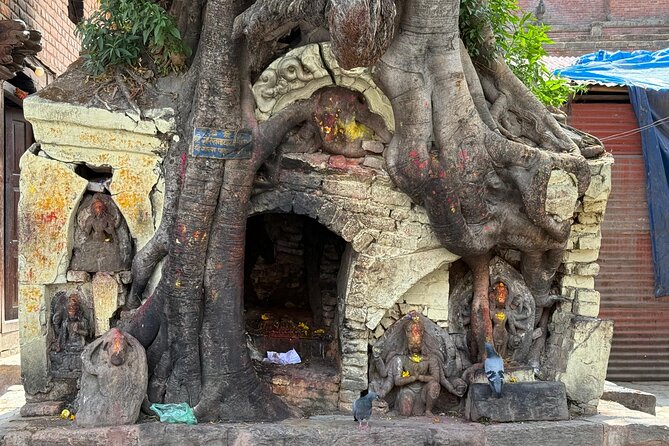 Kathmandu Full Day Tour - Who should book this tour, and who should consider another plan