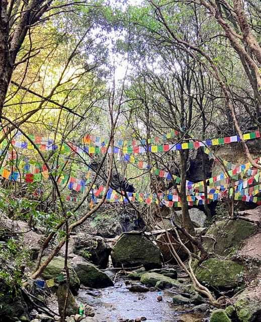 Kathmandu: Shivapuri Hill Day Hike with Lunch box - Price and value: why $70 can make sense for this kind of day
