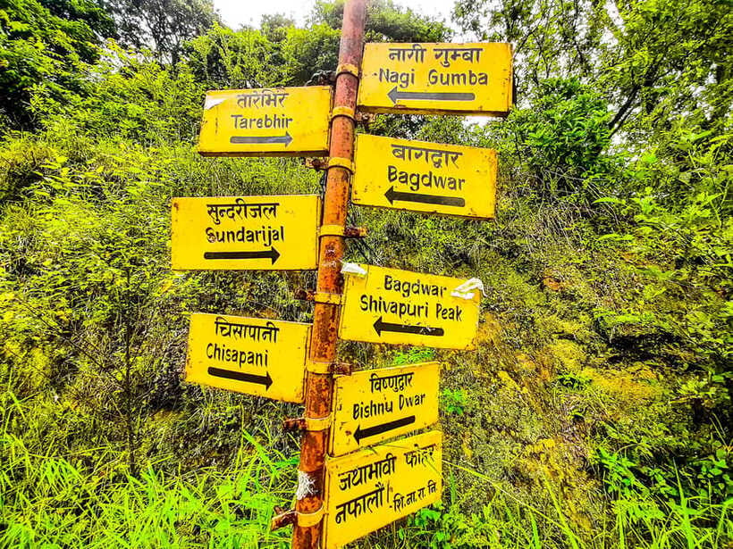 Kathmandu: Shivapuri Hill Day Hike with Lunch box - Who this hike is best for (and who should skip it)