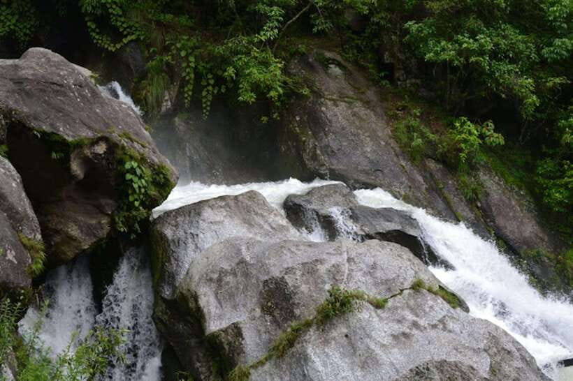 Kathmandu: Shivapuri National park Day Hiking - Key things that make this hike worth your day