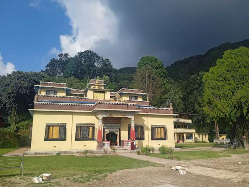 Kathmandu: Shivapuri National park Day Hiking - Birding, rhododendrons, and orchids: the nature perks that show up fast