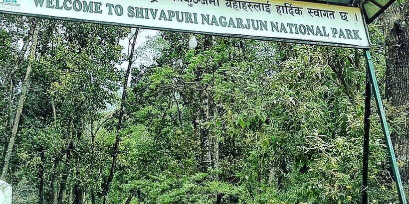 Kathmandu: Shivapuri National park Day Hiking - The guide experience: safety, pacing, and practical Nepal context