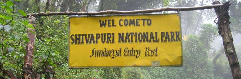 Kathmandu: Shivapuri National park Day Hiking - Price and value: what $49 buys you (and what it doesn’t)