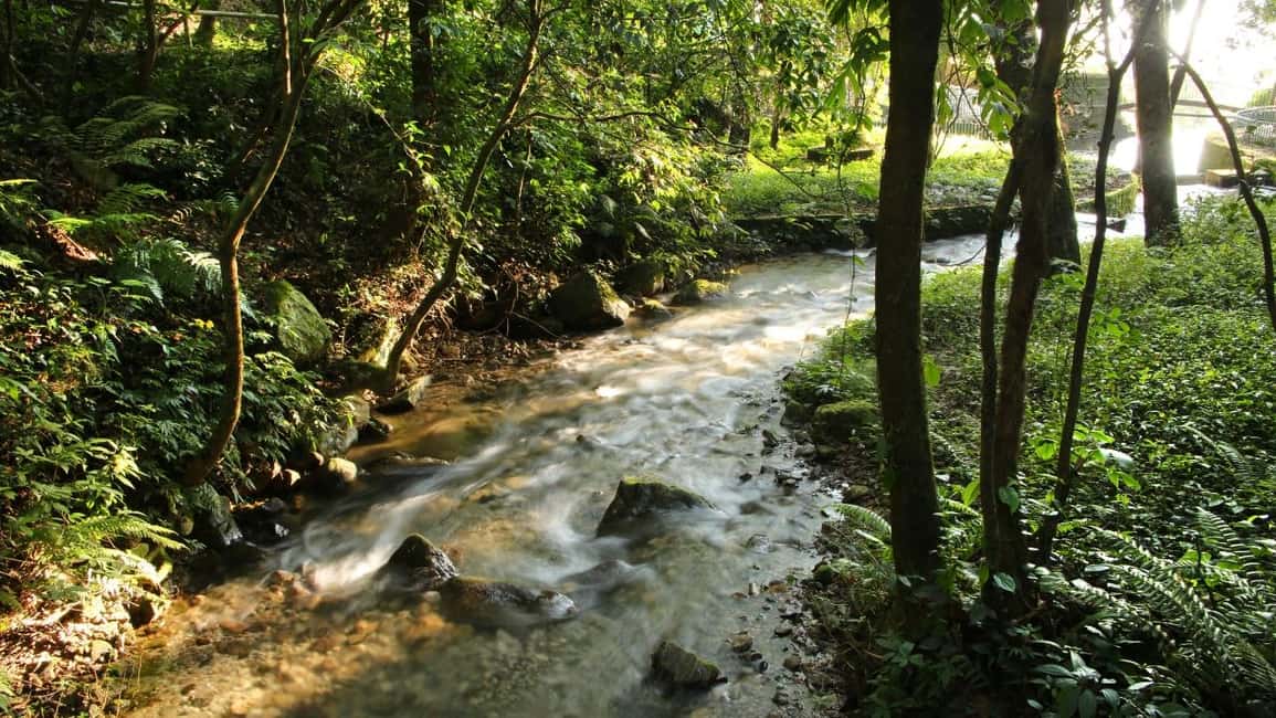 Kathmandu: Shivapuri National Park Hiking Day Trip - Nagi Gompa and Bagdwar: religion points that make the hike feel local
