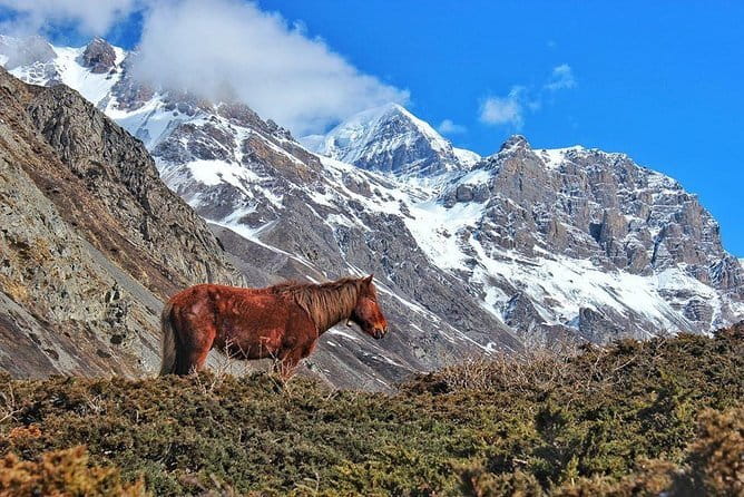 Kathmandu to Langtang Valley 7-Day Trek - Price and value: what $300 covers (and what it doesn’t)