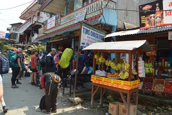 Kathmandu Walking Tour - Price and value: is $26 a good deal?