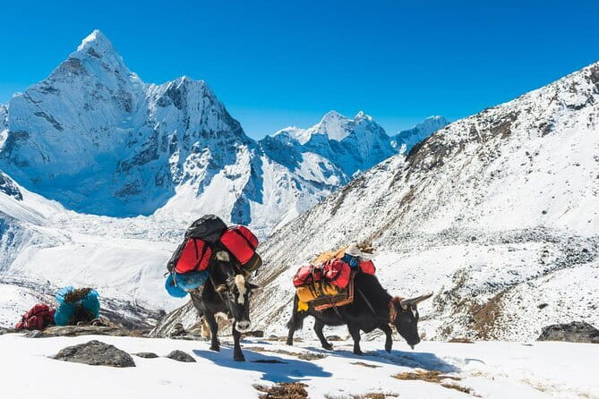 Langtang Trek from Kathmandu 7 Days - Your guide, permits, and lodge nights: the practical backbone