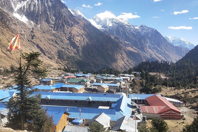 Manaslu Trekking - Days 11–14: Tundra, the Pass Summit Day, and the Descent to Chamje