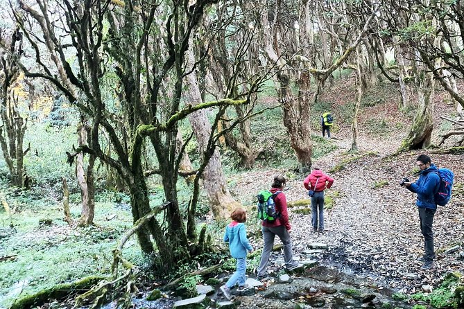 Mohare Danda Trek - Basari Finale: Last Trek Day and the End of the Trail Loop