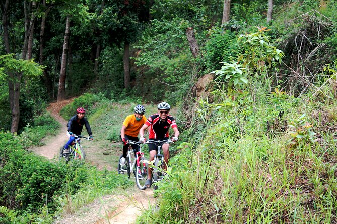 Mountain Bike Tour - Timing, pickup, and how the day stays organized