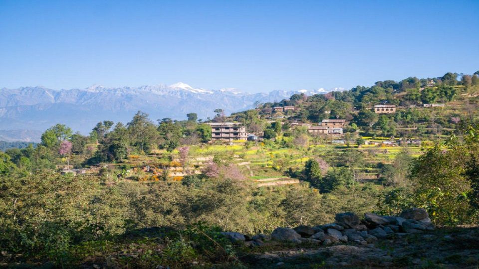 Panoramic Day Hike from Nagarkot to Changunarayan with Lunch - Changu Narayan Temple: UNESCO carvings plus a calm lunch reset