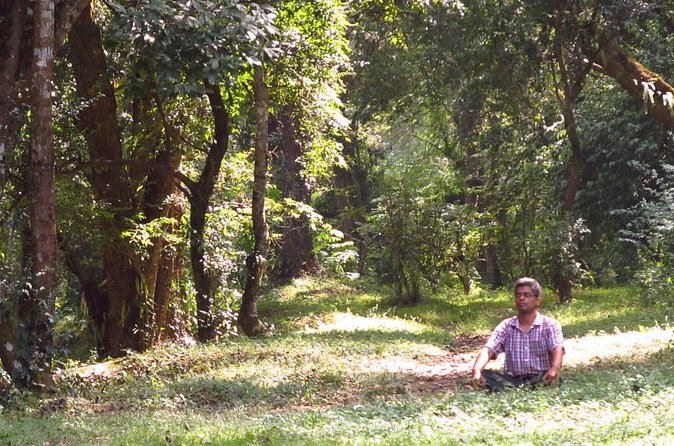 Pharping Asura Cave Meditation Tour - Walking the Pharping route: monasteries, temples, and practical comfort