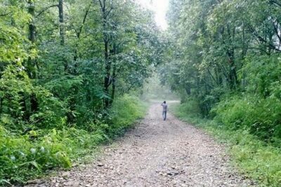 Phulchoki bird-watching tour - Phulchoki Hilltop: 360 Views and the Phulchowki Mai Temple Stop
