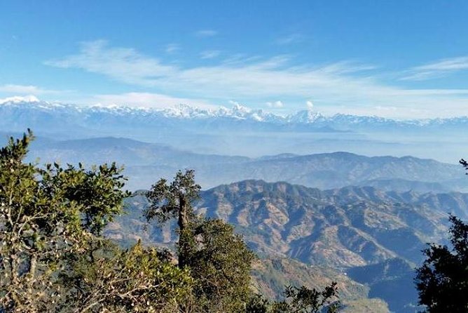 Phulchoki bird-watching tour - Guide Style: From Spotting to Teaching Without Overdoing It