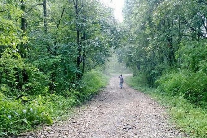 Phulchoki bird-watching tour - Phulchoki Hilltop: 360 Views and the Phulchowki Mai Temple Stop