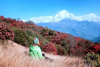 Pokhara: 2 Day Ghorepani & Poon Hill Private Trekking - Day 1 route: Tikhedhunga/Ulleri to Ghorepani (2,850 m) at a trekking pace you can manage
