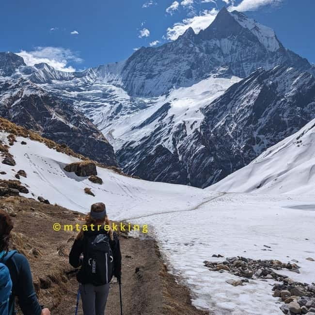 Pokhara: 5-Day Annapurna Base Camp (ABC) Trek - Tea house stays and meals: what included comfort looks like