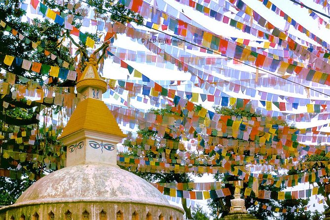Private Half-Day Tour of Kathmandu Durbar Square and Swayambhunath Temple - A note on guides, languages, and flexible drop-offs