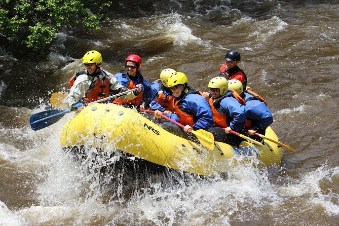 Rafting Tour In Trishuli river - Trishuli River Rafting: Why This Trip Fits an Active Day