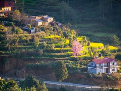 Sundarijal-Chisapani-Nagarkot Trek with Changunarayan - Day 1 in Kathmandu: orientation, welcome dinner, and an easy landing