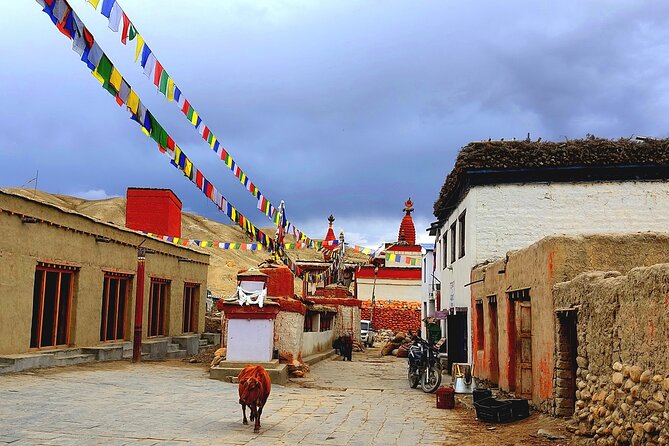 Upper Mustang Trek 14 Days - Upper Mustang Trek: Why Lo Manthang Feels Like a Different World
