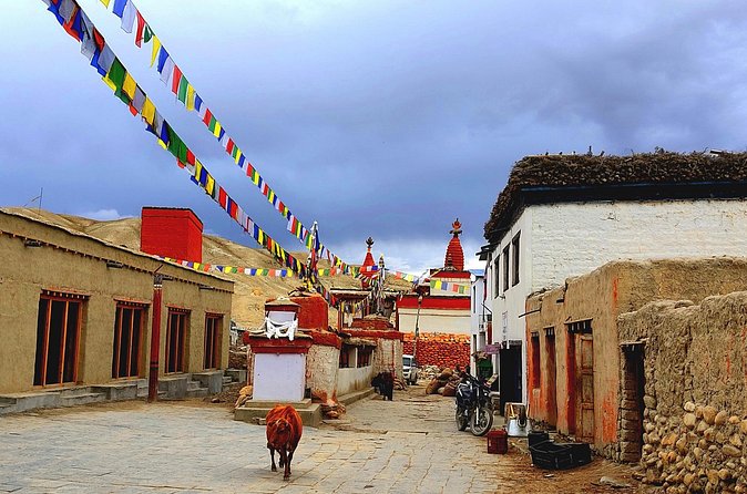 Upper Mustang Trek 14 Days - Tsarang to Lo Manthang: The Walled Capital Moment